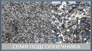 UNISORT. Сортировка семян подсолнечника