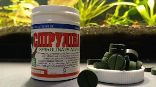 Спирулина в таблетках из аптеки. Spirulina platensis in pilles from pharmacy.