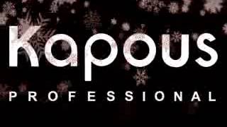 AD studio Arsen Dekusar and TM Kapous Professional