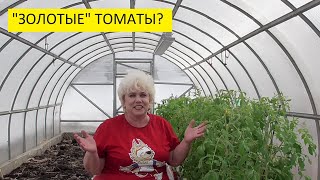 Сколько стоит 1 ночь обогрева теплицы? 