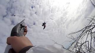 Охота на гуся \ Охота на Крайнем Севере\ Goose hunting\ Hunting in North.