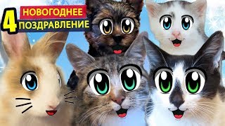 НОВОГОДНЕЕ ПОЗДРАВЛЕНИЕ ОТ КОТА МАЛЫША И МУРКИ И ВСЕ НОВОГОДНИЕ ОБРАЩЕНИЯ! ПРИКОЛЬНЫЕ ЖИВОТНЫЕ