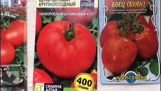 Штамбовые томаты - не подвязываем, а многие и не пасынкуем....