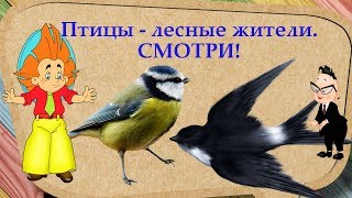 ✔ ПТИЦЫ - ЛЕСНЫЕ ЖИТЕЛИ ✔ Познавательное видео про ПТИЦ для детей