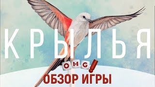 КРЫЛЬЯ (WINGSPAN) — настоящая энциклопедия птиц / обзор настольной игры