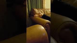 Sexy sleeping feet