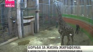 Ночные Новости ТВК 19 января 2015 года.