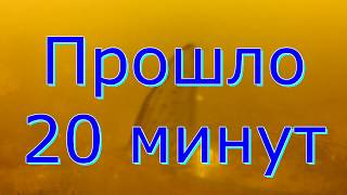 Чеснок | Лещ Плотва | Тест прикормки | Подводная Съемка