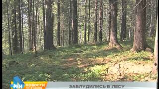 Родители с двумя дочерьми пяти и восьми лет заблудились в лесу Шелеховского района