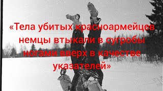 «На один квадратный метр приходится 17 убитых. Трупы, трупы...»Из воспоминаний солдат...