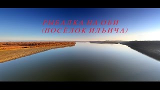 РЫБАЛКА НА ОБИ ПОСЁЛОК ИЛЬИЧА