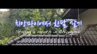 [치앙마이여행] 실시간 Chiang mai 치앙마이에서 한달살기 예고편  เชียงใหม่