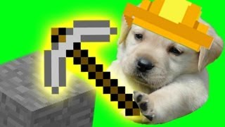 MINECRAFT DOG