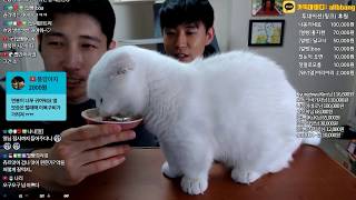 드래곤 길들이기4 (feat. 겨울왕국2 불의정령)