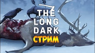 The Long Dark - Сюжет. Эпизод 2. Стрим