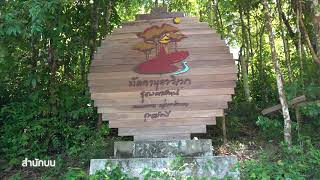 มัคคานุคาวิเวก เกาะพะลวย
