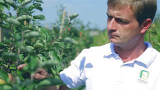Питомник растений "ПОИСК".