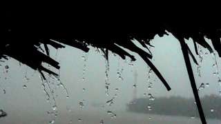 Rain drop in slow motion 500 fps - Free Stock Footage