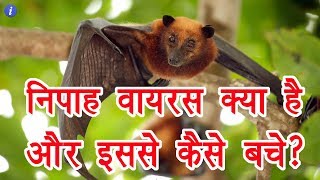 Nipah Virus Explained in Hindi | By Ishan