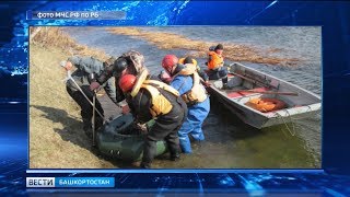 На сплаве в Башкирии погибла 33-летняя туристка