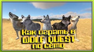 Как играть в WolfQuest по сети