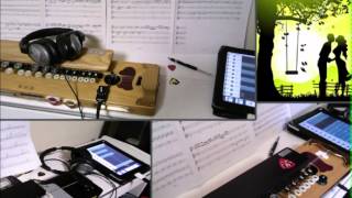 「パッヘルベルのカノン（Pachelbel's Canon）」 played by Taisho-Koto（大正琴）