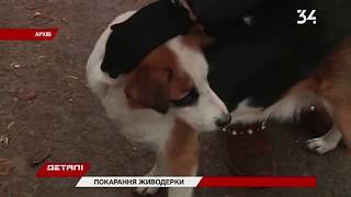 На Днепропетровщине пенсионерке дали пять лет: убила бездомных собак на глазах у детей