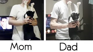 The love of a cat to mom and dad. Differences
