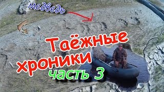 Таёжные хроники. часть 3. Няртовтур. Медвежьи следы. Матерные частушки.