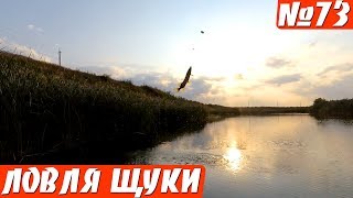 Ловля щуки на Поплавок в сентябре. Рыбалка на щуку осенью, на живца