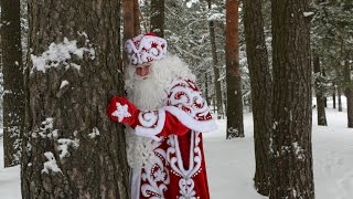 Дед Мороз 2018 | Пригласите Дедушку Мороза на Ваш праздник | iclowns.ru