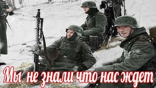 Под Москвой мы испугались не холода, мы не ожидали такого . Архивы Вермахта.  Военные истории