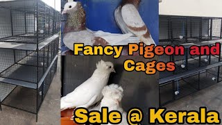 Mookee pigeon breeding cages for sale | farm at Kerala
