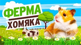 ФЕРМА хомяка ЗНАКОМСТВО хомки и домашних животных ВЕСЕЛАЯ ферма хомячка / МаусХаус?