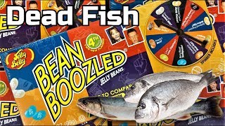Bean Boozled Dead Fish Jelly Bean Taste Test *New Flavor!!!*