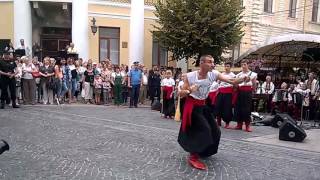 Чернівці, День Незалежності 24.08.2016