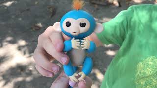 FINGERLING TOY REVIEW - 2017 Hot Christmas Toy of the Year