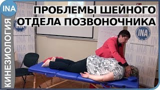 Проблемы шейного отдела позвоночника. Кинезиология. Семинар Васильевой в Германии