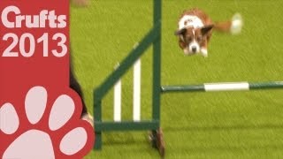 Rescue Dog Agility - Day Two - Crufts 2013