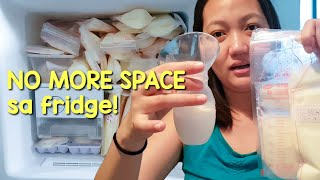 My Breast Milk Increased! ? Happy Breastfeeding Month! | #TheClingyFam EP83