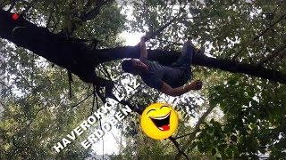 HAVEROKKAL AZ ERDŐBEN #2 - ALAPANYAGOK MEGVANNAK ? ► Vlog #6