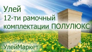 Улей 12 ти рамочный комплектации ПОЛУЛЮКС.  УлейМаркет