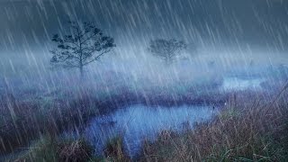 Rain + River Night Ambience | Nature White Noise Study or Sleeping Aid | 10 Hours Stress Relief