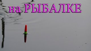 на РЫБАЛКЕ- видеозарисовки(1) Underwater,Fish Crucian, Рыбалка. Ловля на поплавочную удочку.