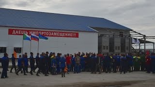 В Николаевском районе открыт крупнейший в Хабаровском крае рыбокомбинат
