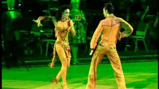 Чемпионат Мира 2009 по бальным танцам профессионалы Часть 04