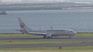 Japan Airlines (JAL) Boeing 737-800 JA339J 羽田空港 離陸 2019.6.14