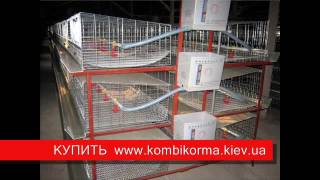 ПОИЛКИ СВОИМИ РУКАМИ  (поилка для цыплят  перепелов)