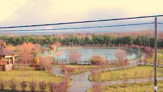 Коттеджный поселок Свежий Ветер | Таруса | Бизнес - класс