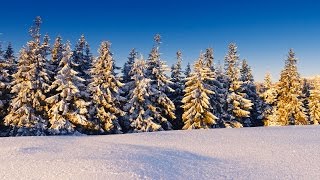 Загадки для детей. Загадки для детей про зиму